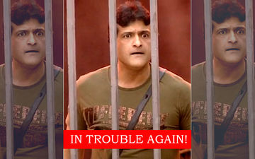 Armaan Kohli Arrested For Illegal Possession Of 41 Scotch Whisky Bottles