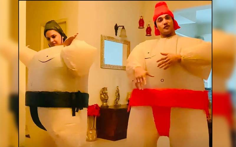 Himanshi Khurana And Asim Riaz Dance Adorably, Wearing Inflatable Sumo Wrestler Costumes, On Their Latest Song 'Sky High'-WATCH