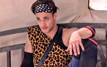 Bigg Boss 13: Asim Riaz Is The Dark Horse Of The House, Say Netizens As #WeLoveAsimRiaz Takes Over The Internet