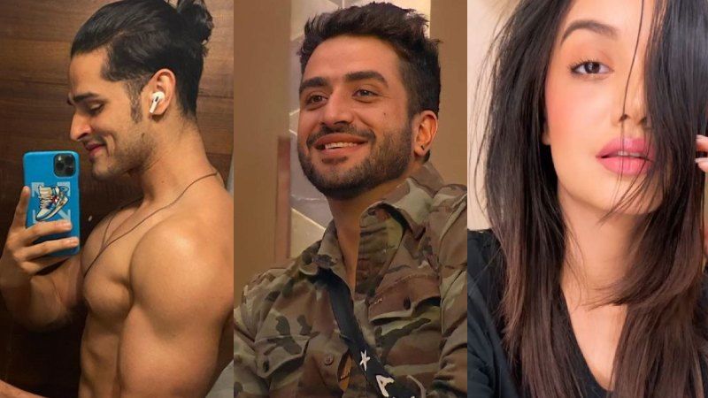 Bigg Boss 14: Exes Priyank Sharma And Divya Agarwal Extend Support To Aly Goni; Ask Fans To Vote For Him