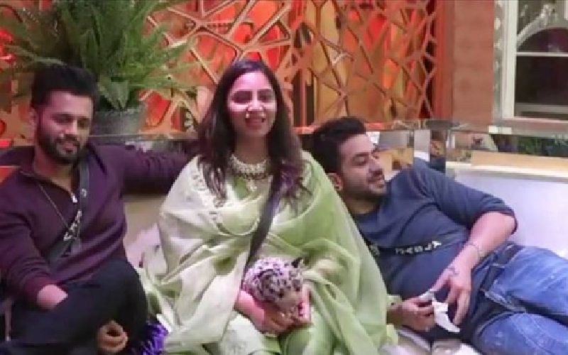 Bigg Boss 14: Evicted Contestant Arshi Khan Claims Rahul Vaidya Has Promised To Find A Groom For Her; Talks About Her Bond With Aly Goni And Rahul