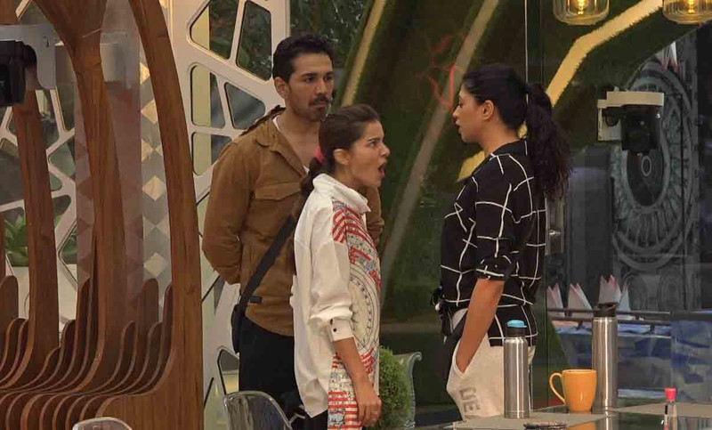 Bigg Boss 14 Day 53 SPOILER ALERT: Kavita Kaushik Threatens Rubina