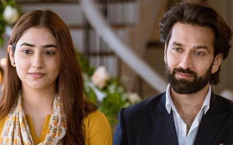 Bade Achhe Lagte Hain 2 Completes 100 Episodes: Nakuul Mehta Calls It A ‘Beautiful And Exciting' Journey; Disha Parmar Says, ‘Priya Has Given Her A New Meaning In Life’