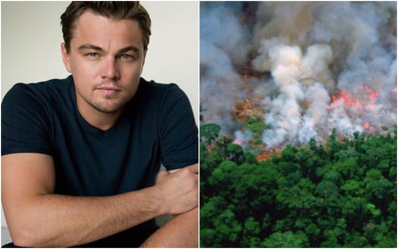 Leonardo Di Caprio Accused Of Funding To Torch The Amazon Forest, Claims Brazil President