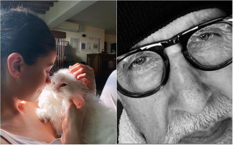 Alia Bhatt Shares A Cuddly Picture With Her Pet; Brahmastra Co-Star Amitabh Bachchan Says 'I Don’t Like Cats', Later Deletes Comment