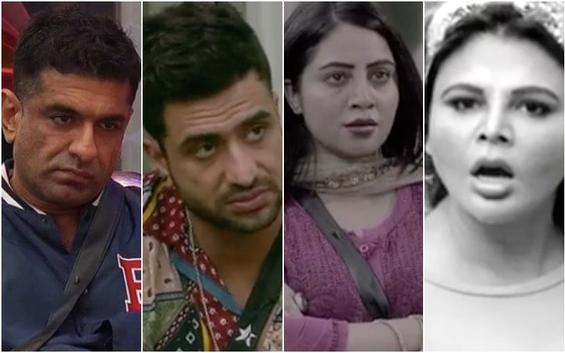 Bigg Boss 14: Aly Goni, Eijaz Khan, Arshi Khan Call Rakhi Sawant 'Double Dholki'; Lady Loses Her Cool