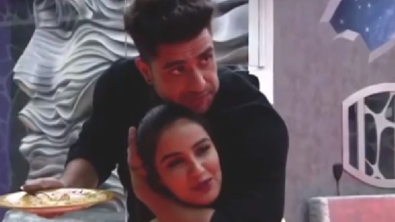 Bigg Boss 14: Jasim Bhasin's Bestie Aly Goni Gets ELIMINATED From The Show?