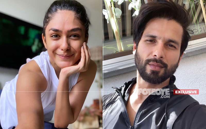 Mrunal Thakur: 'I Feel Like I Have Worked With The Entire Shahid Kapoor's Family' - EXCLUSIVE