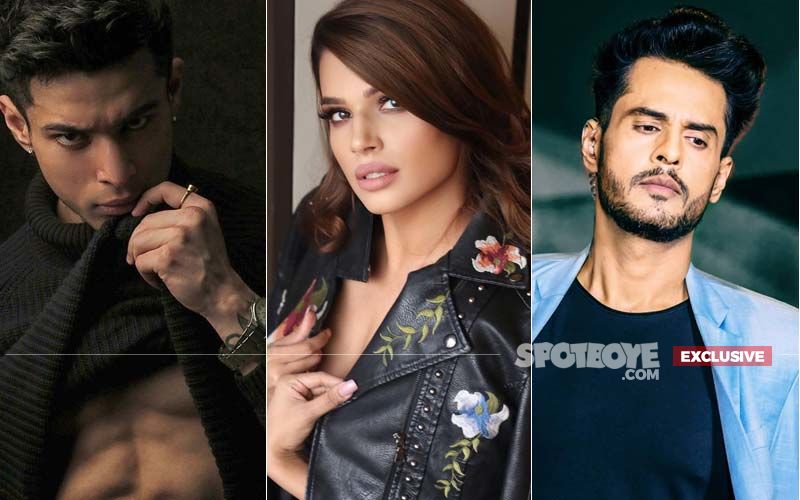 Bigg Boss 14: Wild Cards Naina Singh, Shardul Pandit And Pratik Sehajpal To Enter The House On THIS Date- EXCLUSIVE