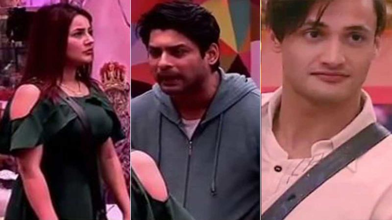 Bigg Boss 13: Shehnaaz Fights With Sidharth Shukla, SHOCKINGLY Supports Asim Riaz; Tables Have Turned