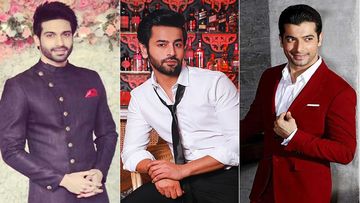 Republic Day 2020: Vijayendra Kumeria, Shashank Vyas, Ssharad Malhotra On Patriotism And Pride