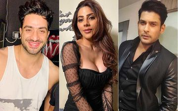 Bigg Boss 14: Aly Goni's 'Self Respect' Comment On Nikki Tamboli's Playfulness With Sidharth Shukla Backfires; Leaves Fans Furious