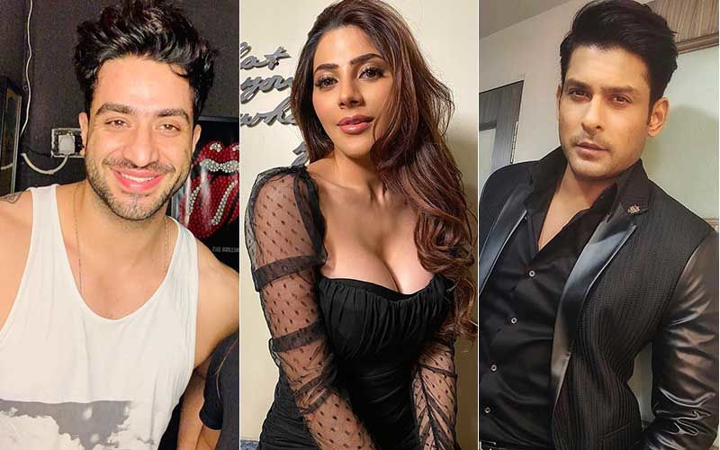 Bigg Boss 14: Aly Goni's 'Self Respect' Comment On Nikki Tamboli's Playfulness With Sidharth Shukla Backfires; Leaves Fans Furious