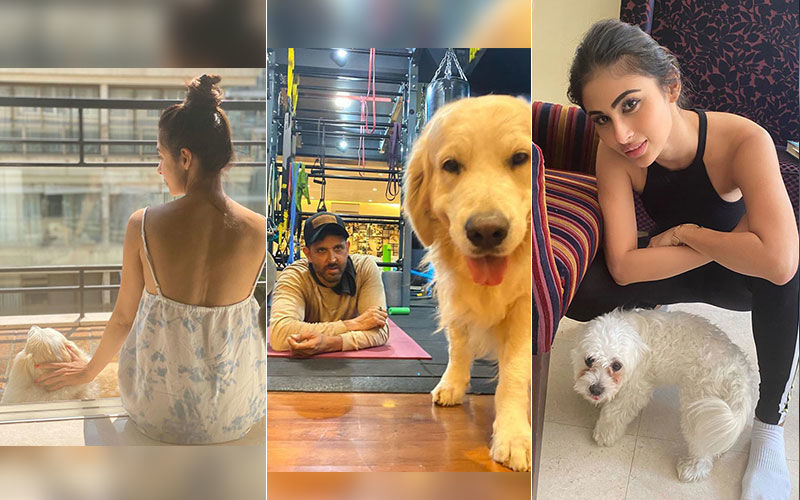 Alia Bhatt, Priyanka Chopra, Hrithik Roshan, Arjun Kapoor, Malaika Arora Obsess Over Their Pets During Quarantine Period