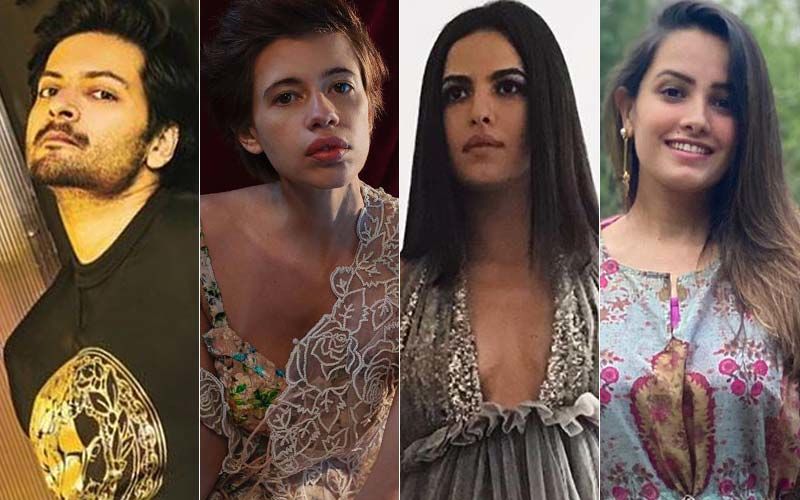 6 Celebrities That You Need To Follow Right Away: Ali Faizal,  Kalki Koechlin, Natasa Stankovic, Anita Hassanandani And More