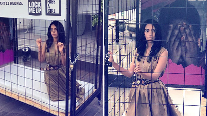 Mallika Sherawat Locks Herself In A Cage For 12 Hours!
