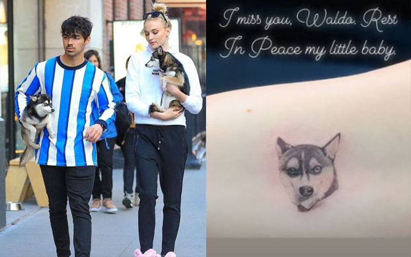 Sophie Turner And Joe Jonas Get Matching Tattoos In The Memory Of Their Late Dog Waldo