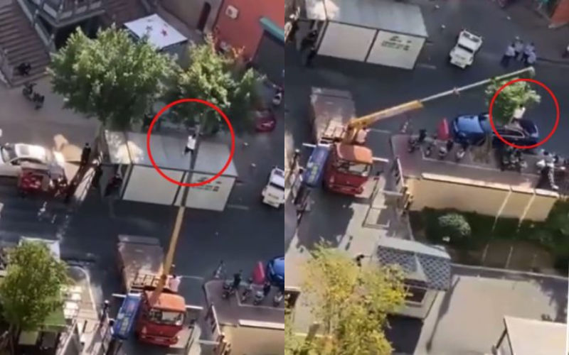 COVID-19: Chilling Video Shows Corona-Positive Person Being Lifted By Crane In China; Authorities Ensure Zero Contact-WATCH