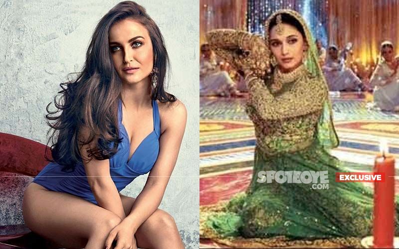 Madhuri Dixit's Maar Dala Called Elli AvrRam To Bollywood But Daddy Dearest Continued To Throw Spanners- EXCLUSIVE