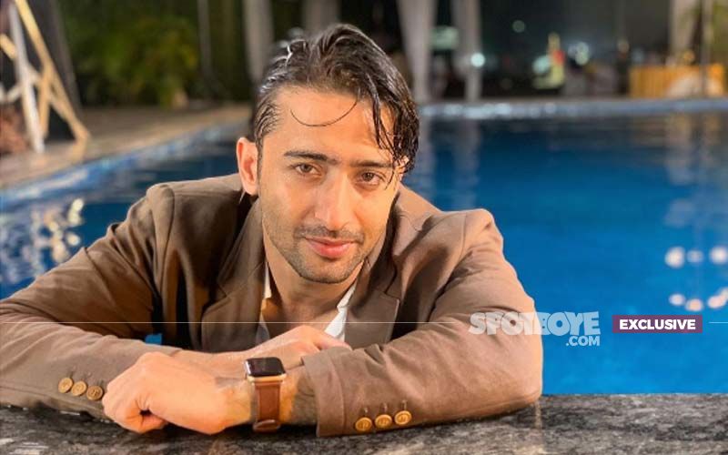 Shaheer Sheikh: I Don't Want To Become A Star, Like To Keep It Low Profile'- EXCLUSIVE