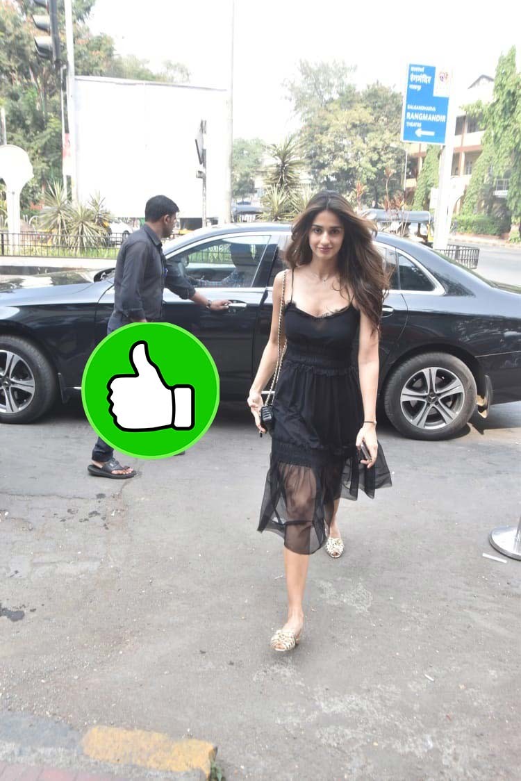 disha disha