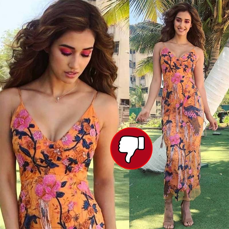 disha disha