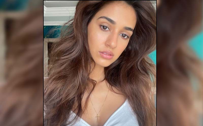 Tiger Shroff Drops An Epic Comment On Disha Patani's Latest Sizzling Photos; Krishna Shroff Also Reacts To The Actress' Instagram Post