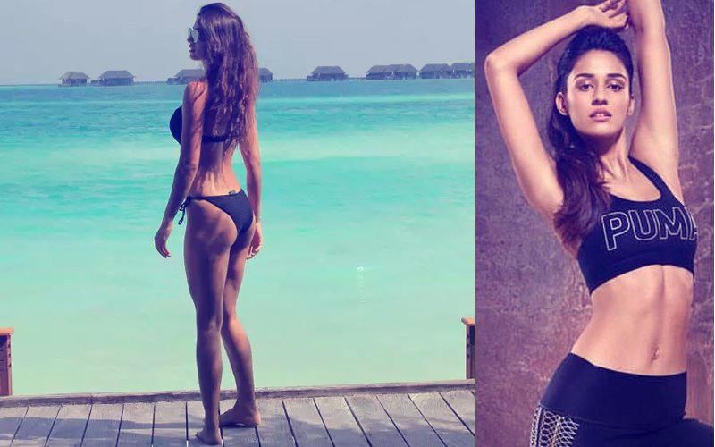 Here's Disha Patani's Number & She Wants You To Call Her...