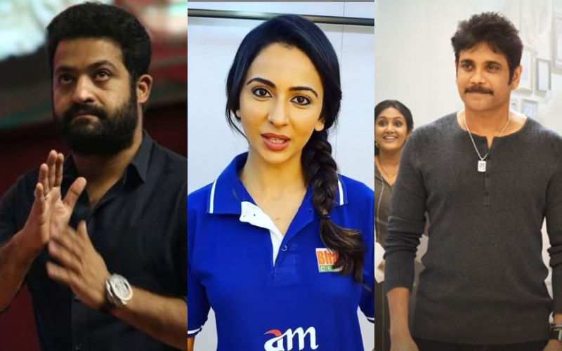 Hyderabad Gang Rape And Murder: 4 Accused Shot In A Police Encounter; Rakul Preet, Nagarjuna Akkineni, Jr NTR Say Justice Served