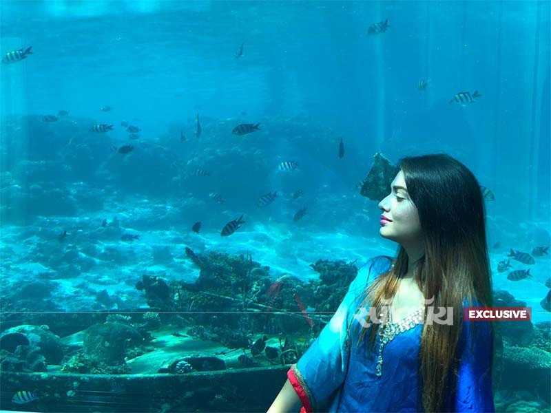 divya divya