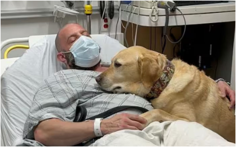 VIRAL! Dog Sticks By His Human After Being Diagnosed With Heart Disease! Netizens Call The VIDEO ‘Best Thing On The Internet Today’-WATCH