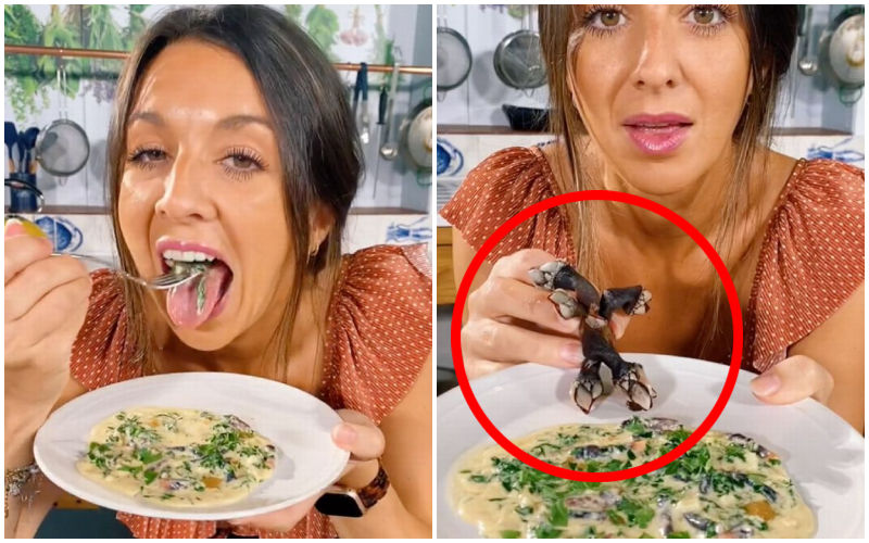 WHAT!? Netizens Compare ‘Alien’ Looking Sea Creature With Stranger Things Beast; Internet Is SHOCKED As Amy Brise Eats THIS Sea Creature: 'Tastes Like Mussels'