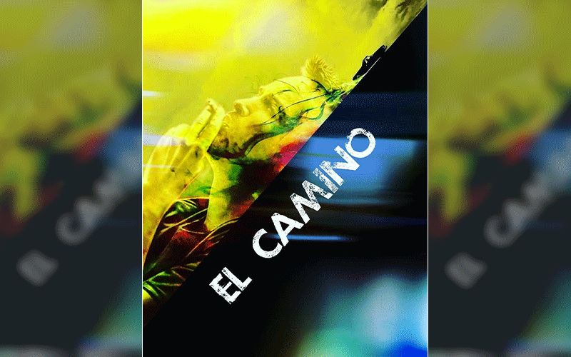 El Camino, The Breaking Bad Film, Is Out On Netflix Today