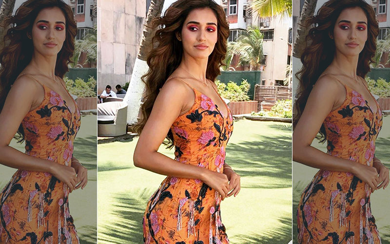 Did You Know Disha Patani Lost Her Memory Post A Head Injury For 6 Months?