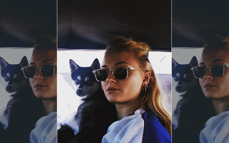 Sophie Turner And Joe Jonas’ Dog Waldo Dies In A Freak Accident