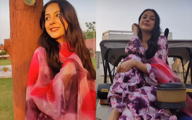 Shehnaaz Gill Shows Off Her 'Pind' And 'Khet' In Latest Video; Fans Say, 'Beautiful Inside And Out, Old Sana Is Back' -WATCH