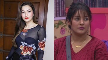 Bigg Boss 13: Gauahar Khan SHAMES Fan Endorsing Violent Love; Do We Smell A Sly Dig At Shehnaaz Gill?