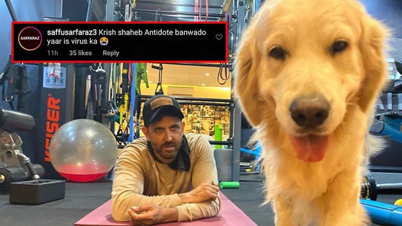 Coronavirus Outbreak: Hrithik Roshan’s Gym PIC With His Dog Reminds Fans Of Krrish, ‘Antidote Banwado Yaar Is Virus Ka’
