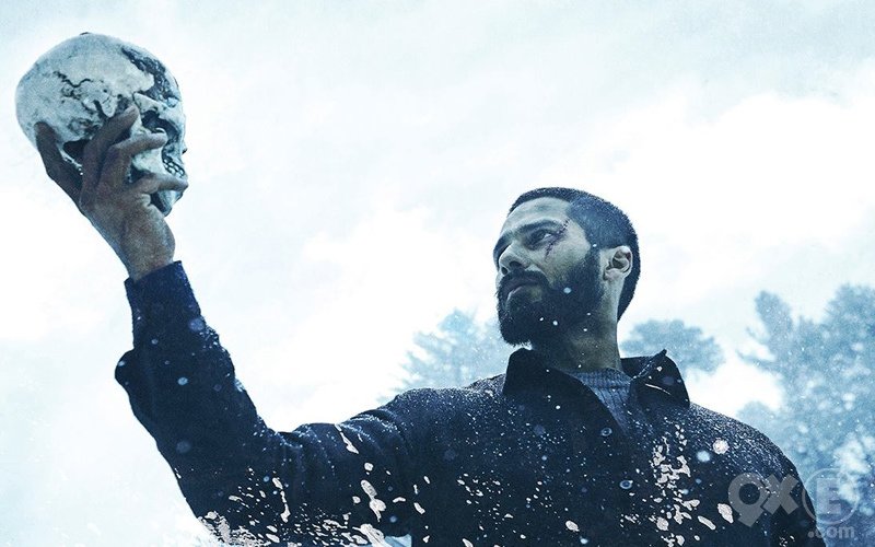 1st Day Early Box Office Collection Trends Of Haider