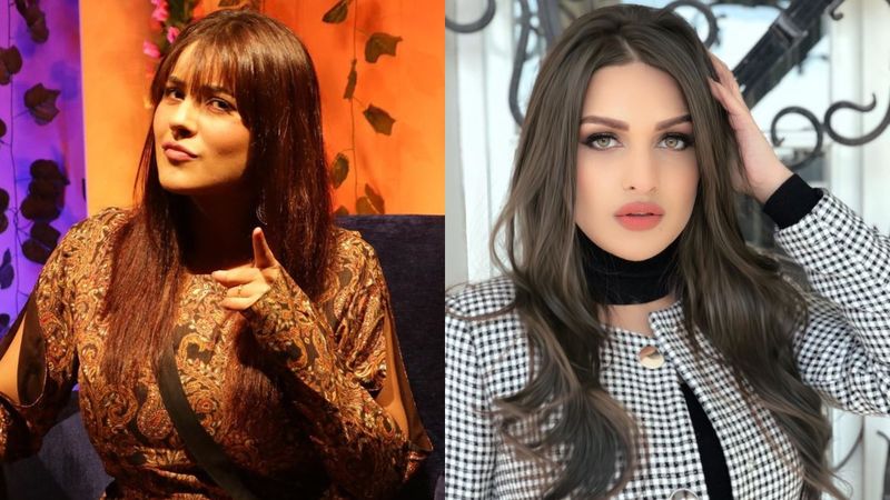 Shehnaaz Gill Accuses Himanshi Khurana Of Leaking Photos, Body Shames Her, 'You Look Like An Aunty' - TB Video