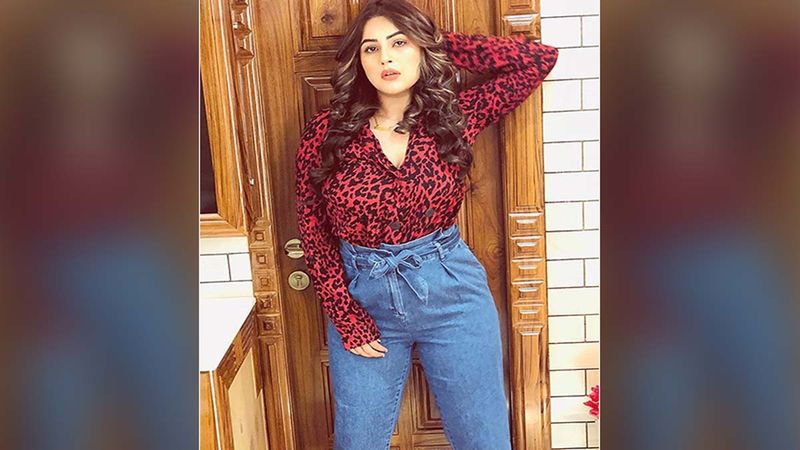 Bigg Boss 13: Shehnaaz Gill Is A TikTok Queen And Her Videos Have Taken The Internet By Storm