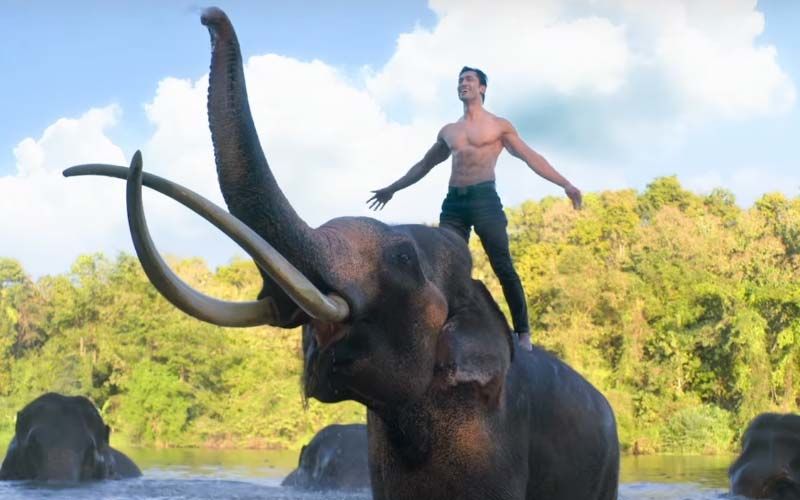 Junglee Trailer: Vidyut Jammwal Protects His Animal Kingdom From Poachers In This Action-Fest