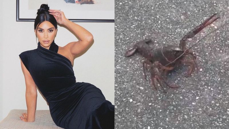 LOL- Kim Kardashian’s Discovered Lobster On The Streets Of Calabasas Who Ends Up Getting A Hilarious Twitter Account