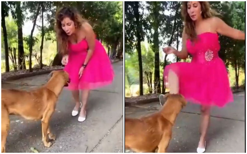 VIRAL! Instagram Influencer DISGUSTS Internet As She Kicks A Dog For Reel! Deletes VIDEO And Issues Apology Post The Outrage- DETAILS BELOW
