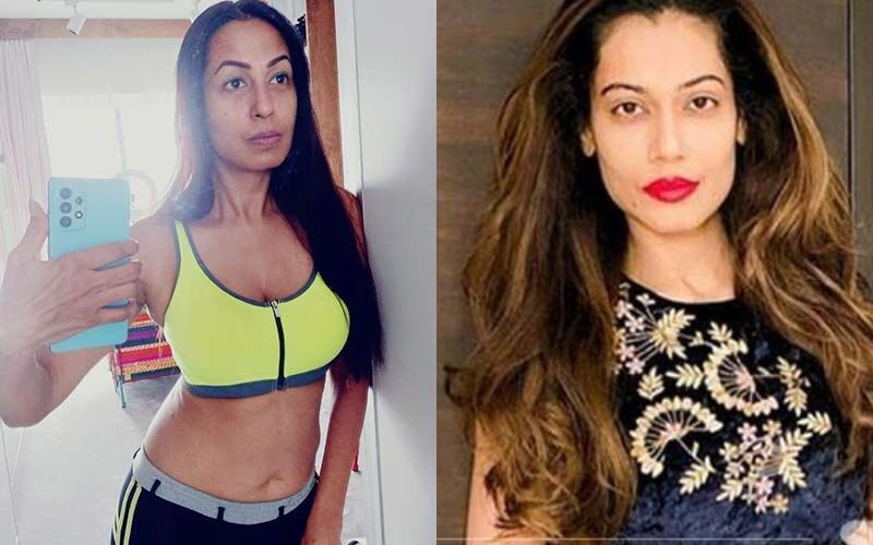 Kashmera Shah CONFIRMS Payal Rohatgi’s Confession Of Having Suicidal Thoughts After An Old Relationship: ‘Guys She Is Telling The Truth’