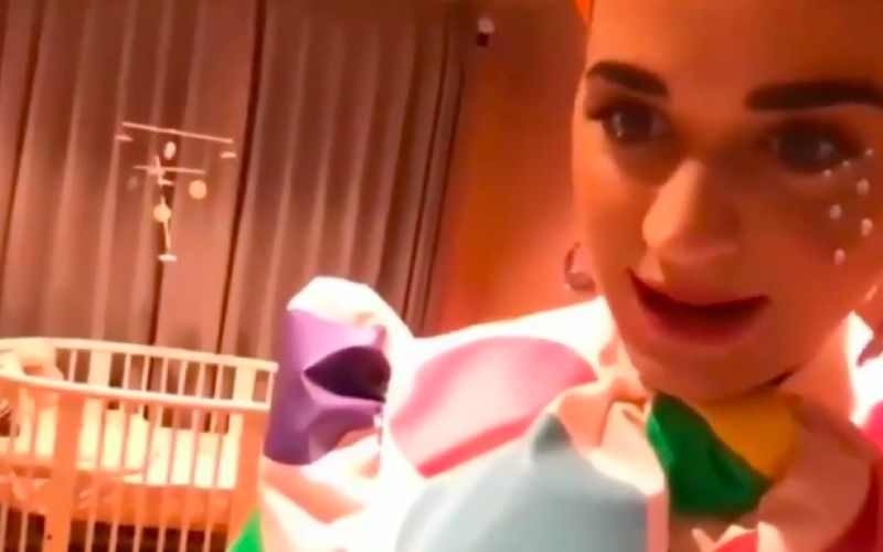 Roar Singer Katy Perry Gives A Sneak Peek Of Her Baby's Beautiful And Adorable Nursery - Watch