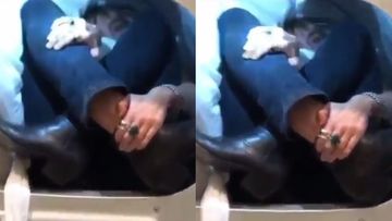 Coronavirus Outbreak: A Scared Miley Cyrus Hides Inside Her Washing Machine; Such Self-Quarantine, Much Wow – VIDEO