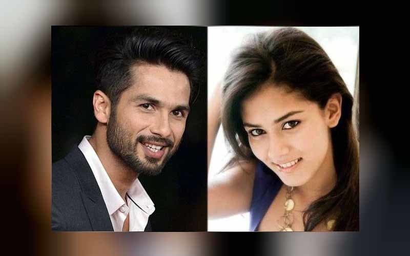 Shahid-mira Will Solemnise Their Love In Bali Or Greece