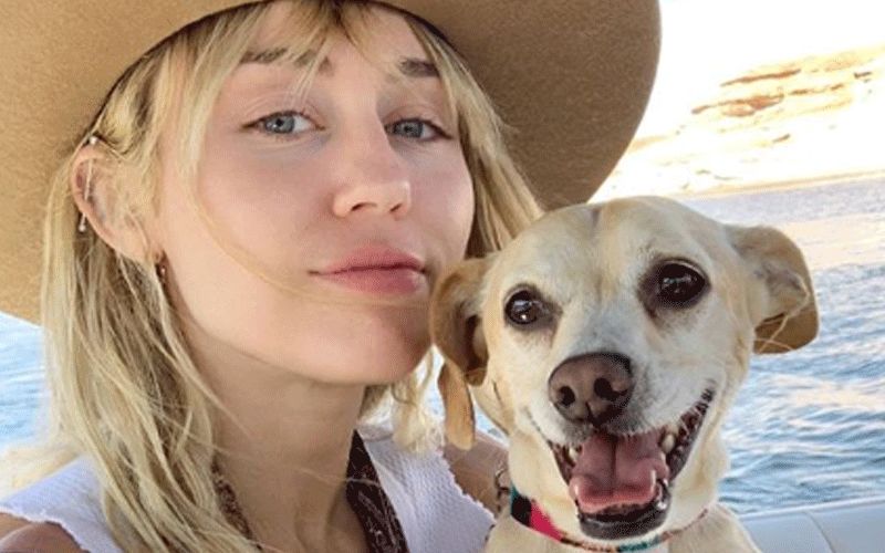 Miley Cyrus Posts Cryptic Message On Instagram About Love; Outcome Of Her Recent Breakup With Kaitlynn Carter?