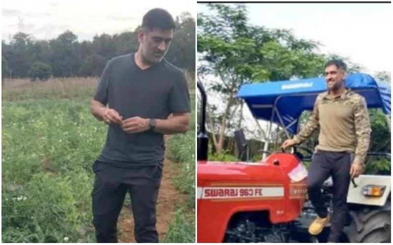 MS Dhoni Turned Farmer Despite Earning In Crores! Cricketer Wins Hearts As He Reveals The REAL Reason Behind Growing Crops; Old VIDEO Goes VIRAL